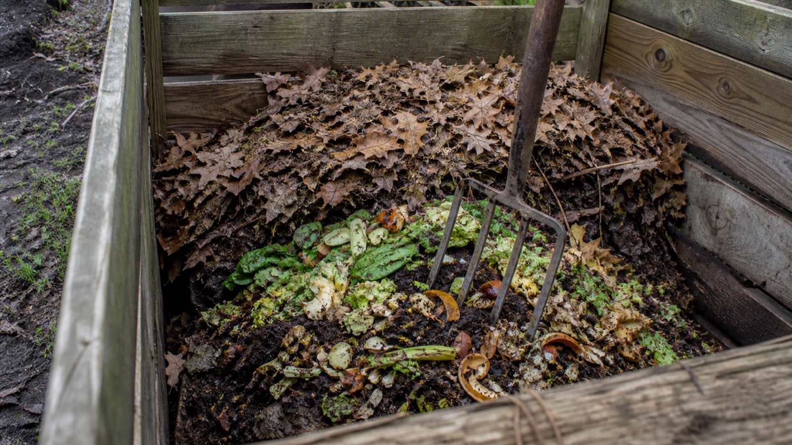Layers of brown leaves and green kitchen scraps visible in a wooden compost bay, showing how to compost in practice