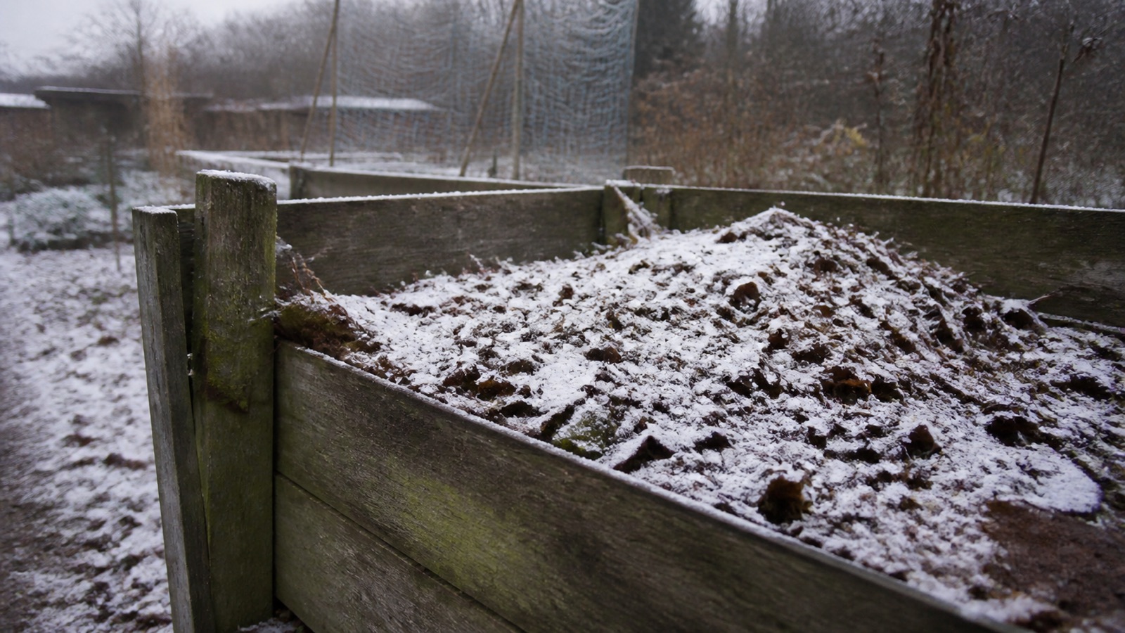 A wooden compost bay dusted with snow and frozen brown leaves, showing seasonal composting in winter