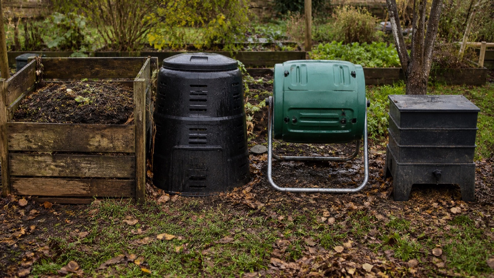Four types of composting side by side: an open wooden bay, a plastic bin, a tumbler and a worm bin
