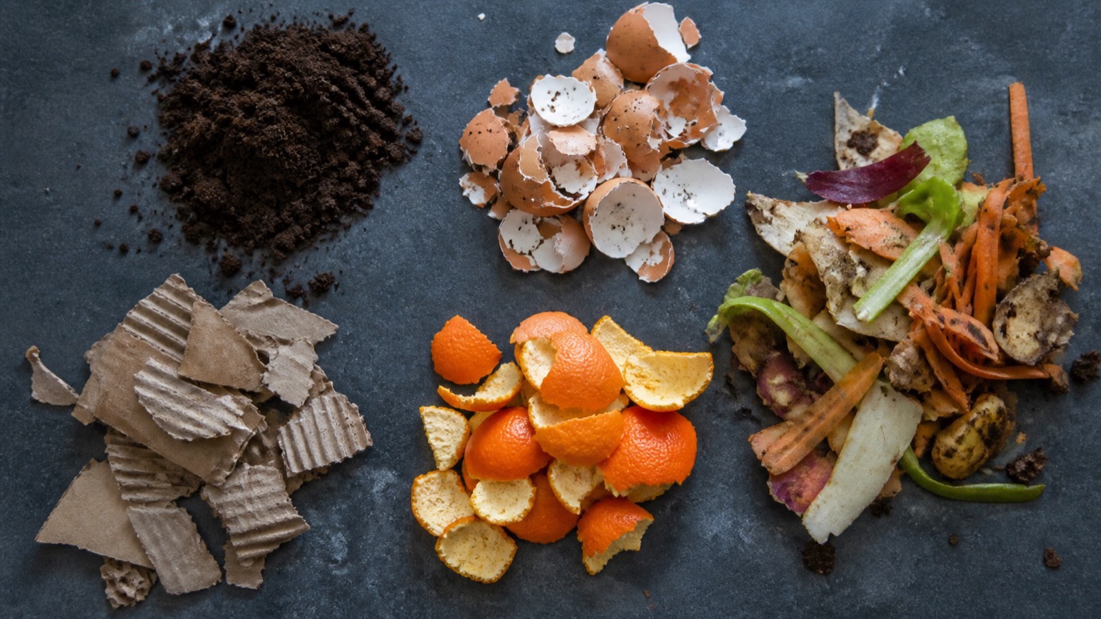 Separated piles showing what can you compost: coffee grounds, eggshells, vegetable peelings, cardboard and citrus peel