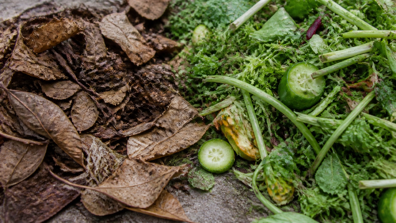 Brown dry leaves on one side and green kitchen scraps on the other — browns and greens