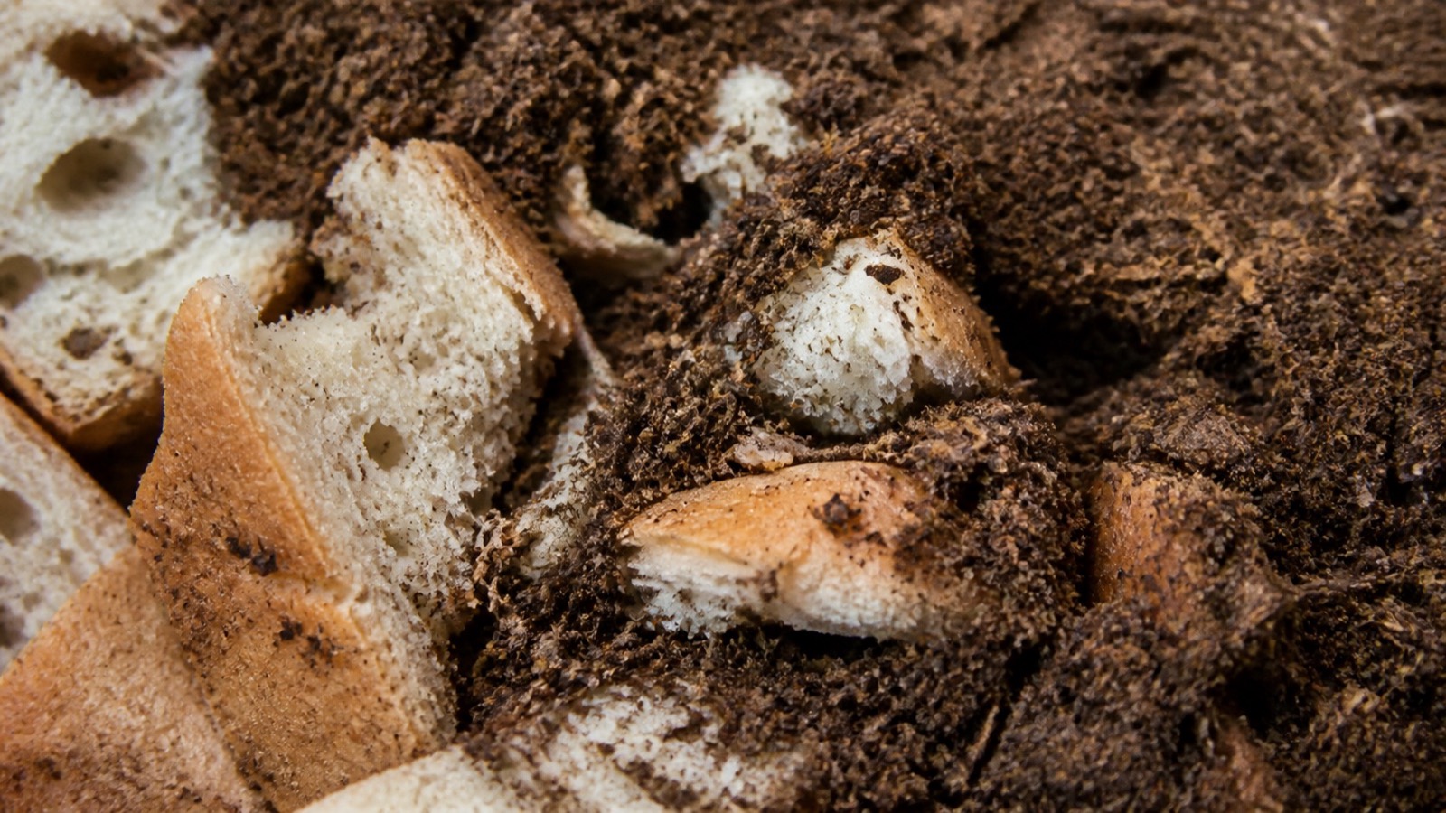 Extreme close-up filling the frame: stale bread torn into pieces being buried under brown compost material, compost bread