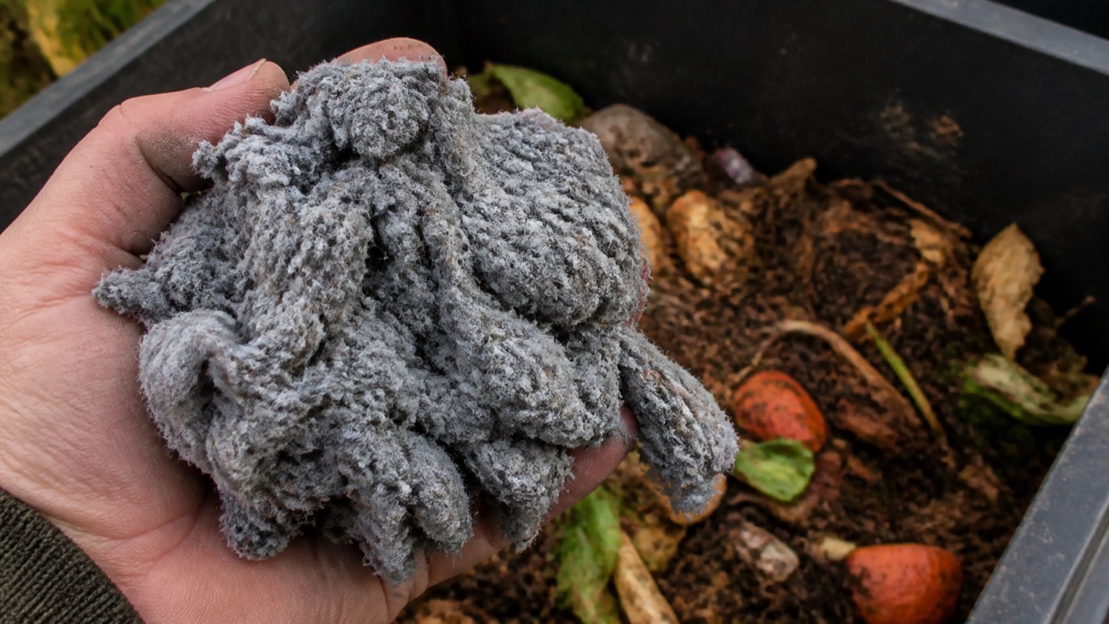 Extreme close-up filling the frame: a handful of grey dryer lint held over an open compost bin, compost dryer lint