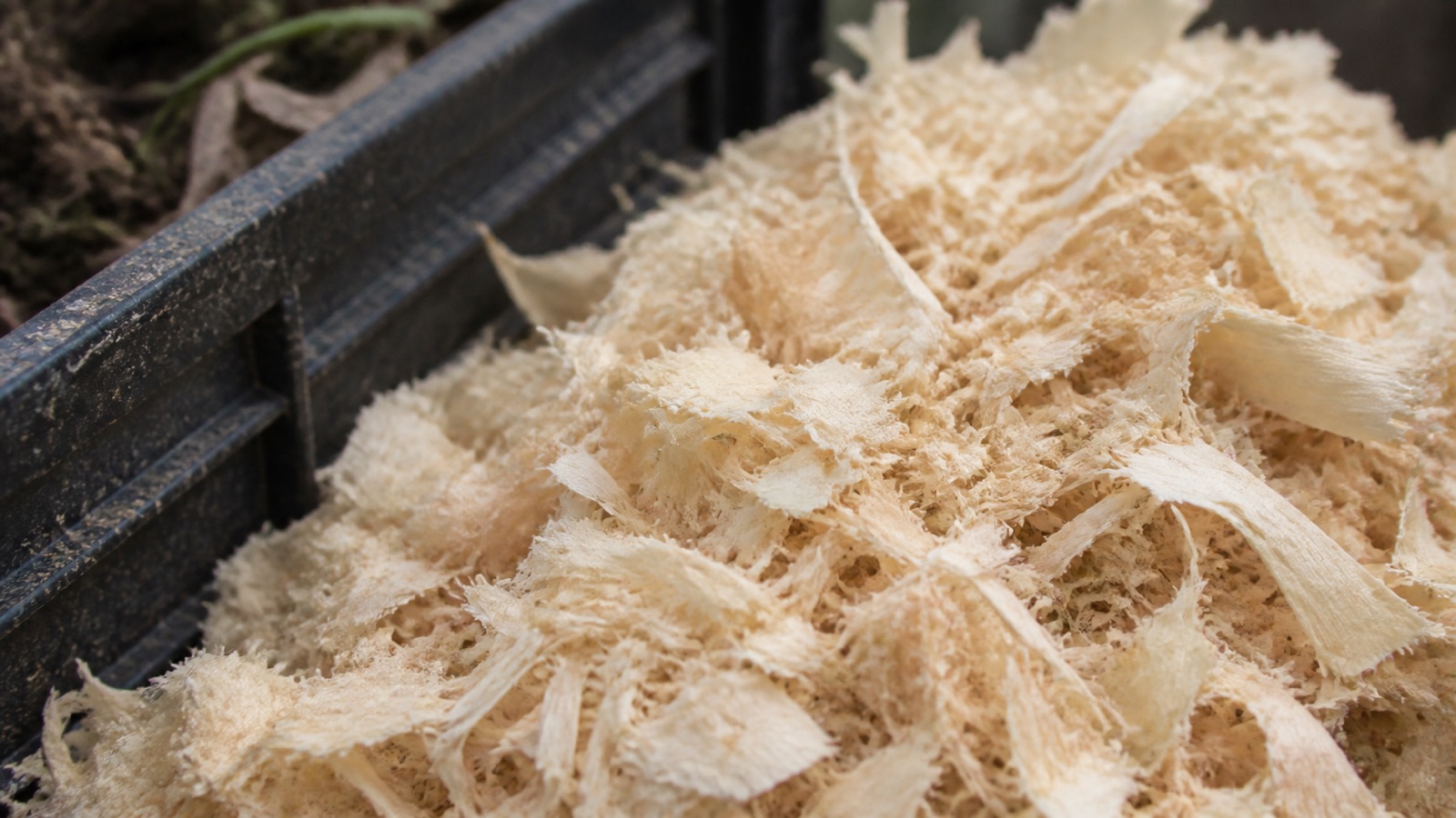 Extreme close-up filling the frame: a small heap of untreated pale wood shavings beside a compost bin, compost sawdust