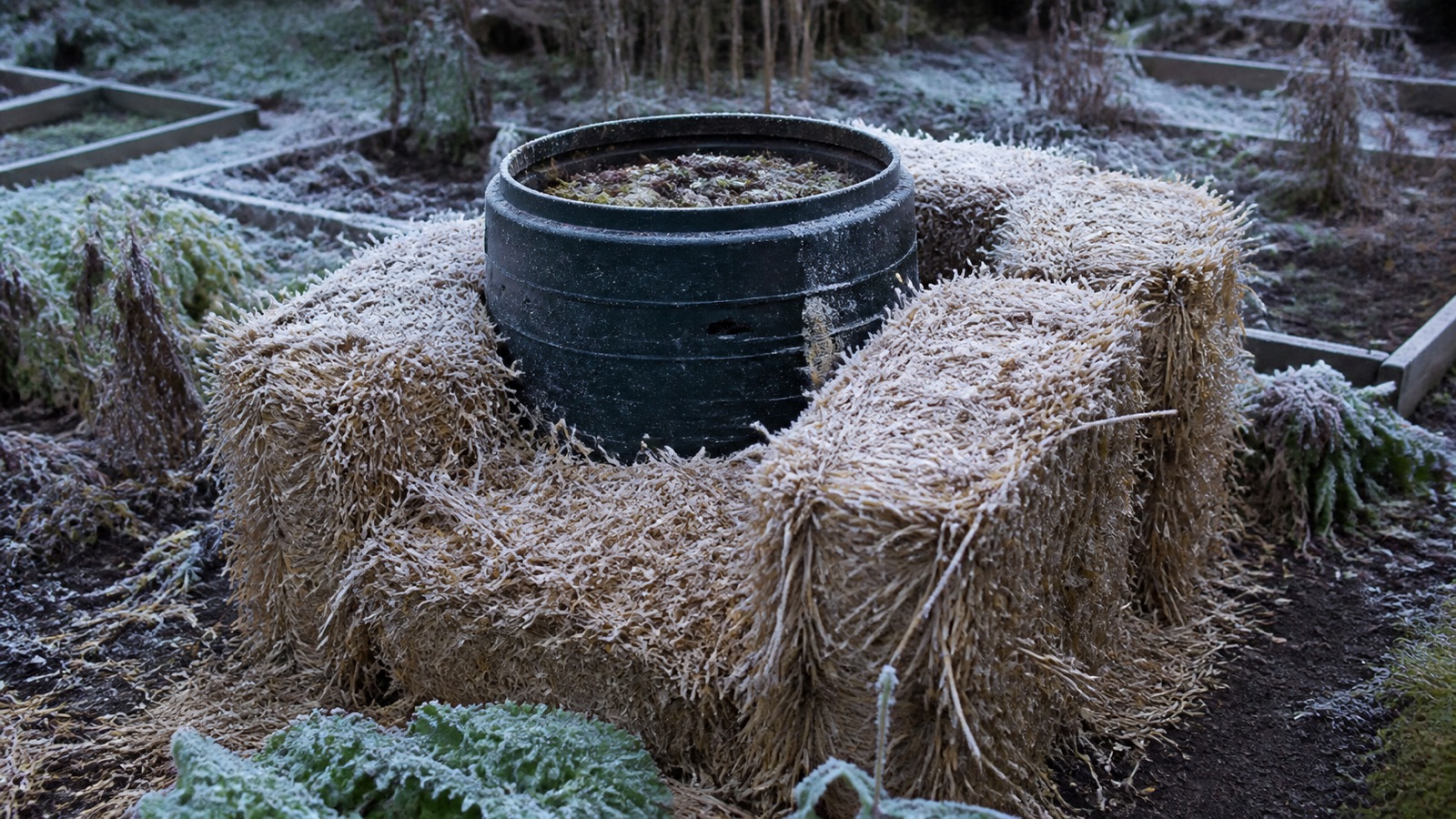 An insulated straw-bale-surrounded compost bin in a frosted garden, cold climate composting