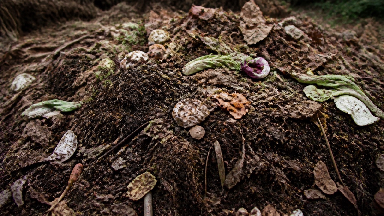 An unturned garden compost heap with leaves and scraps layered on top, cold composting