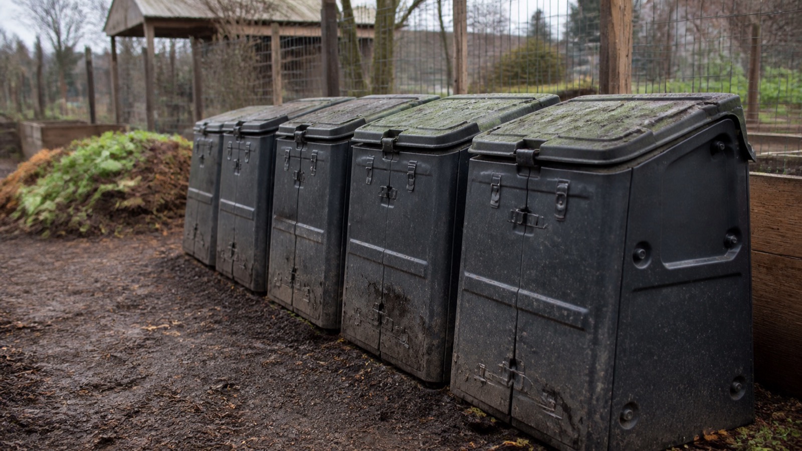 A row of large communal compost bins at a community garden drop-off site, community composting