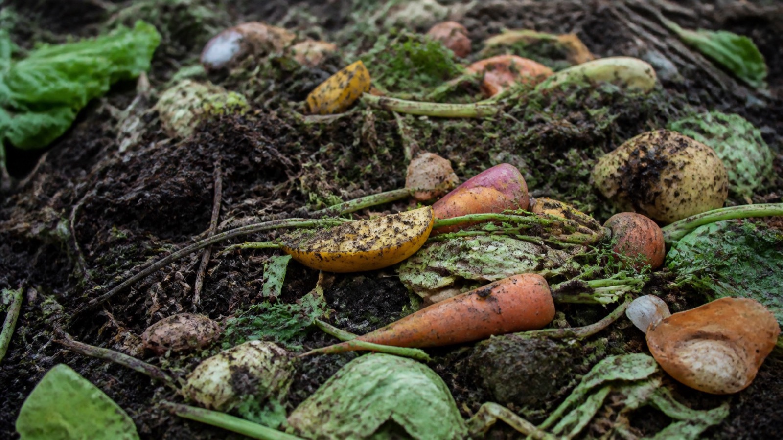 A compost pile with whole unbroken vegetable scraps and twigs still recognisable, compost decomposing slowly