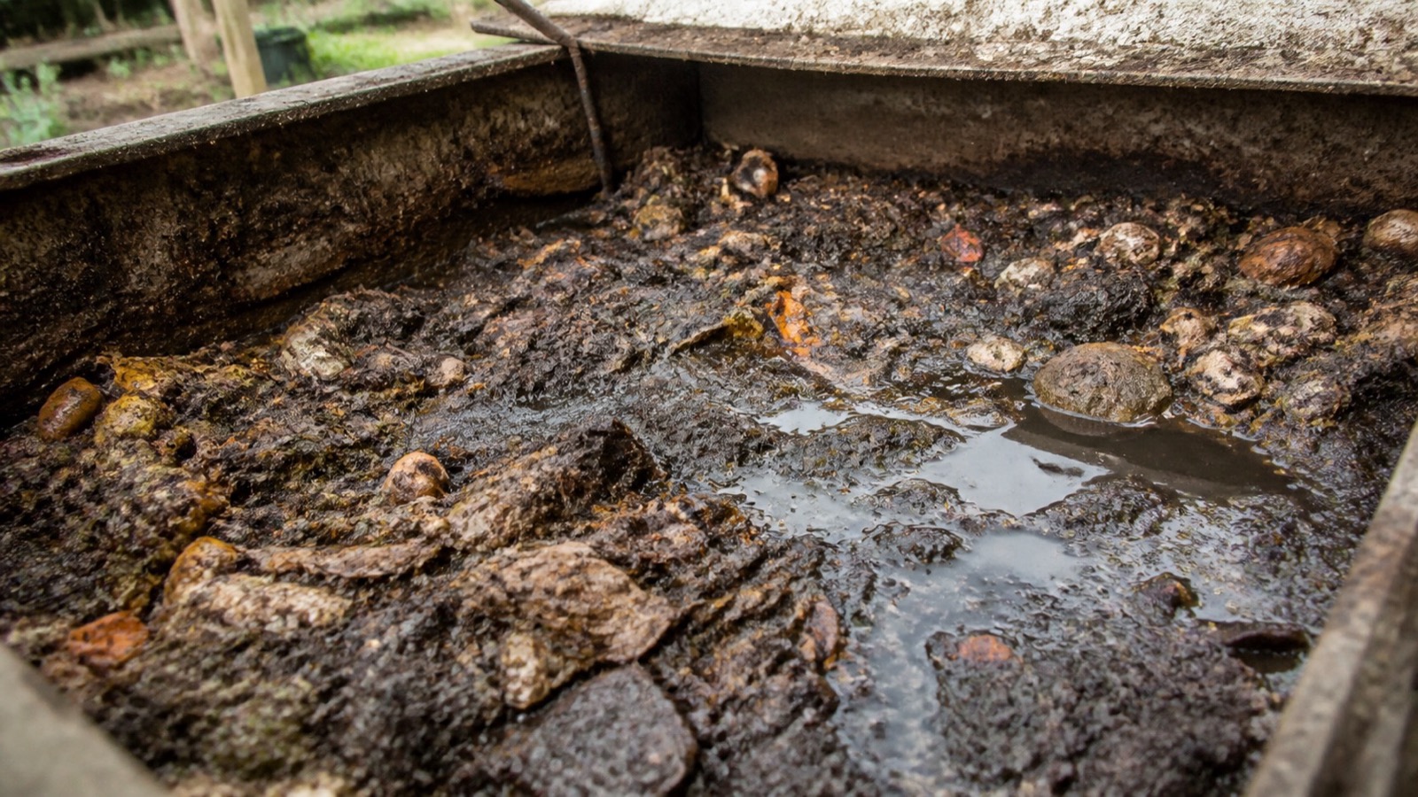 A neglected compost bin with compacted sour material and standing water — composting mistakes