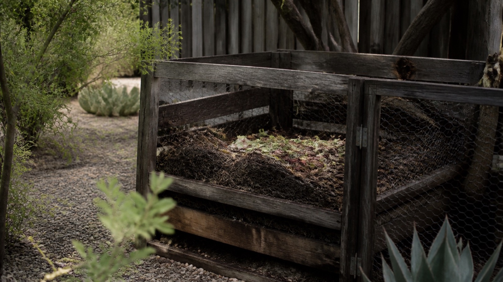 A shaded enclosed compost bin in a gravel desert garden, desert composting