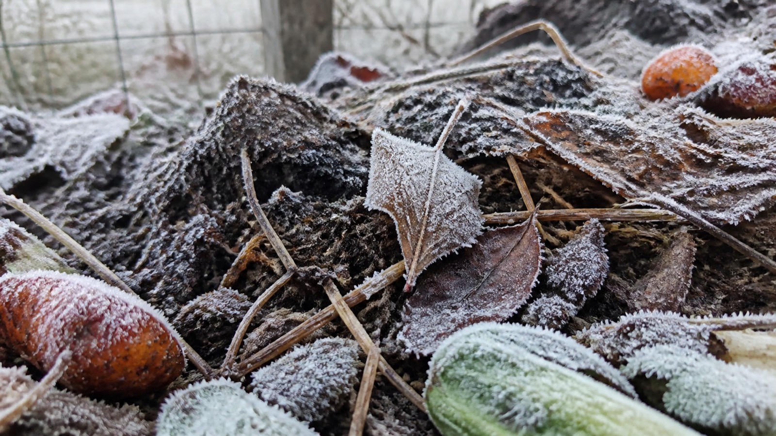 A frozen compost pile with frost crystals on the surface, frozen compost