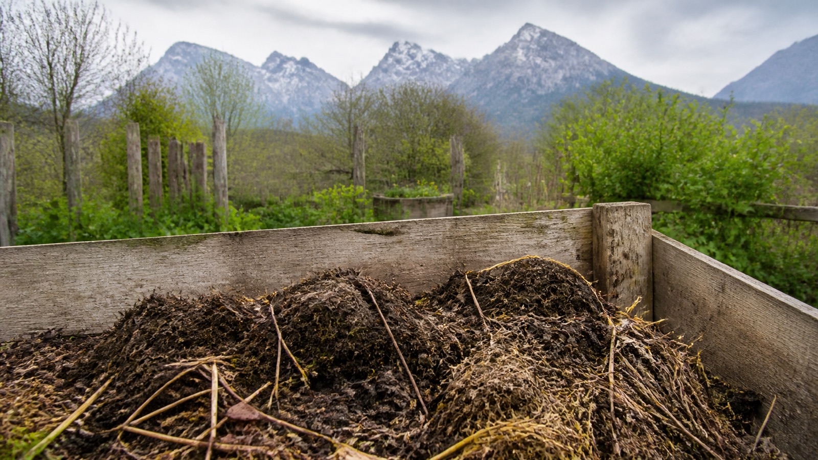 A compost bay at a mountain garden with peaks visible behind, high altitude composting