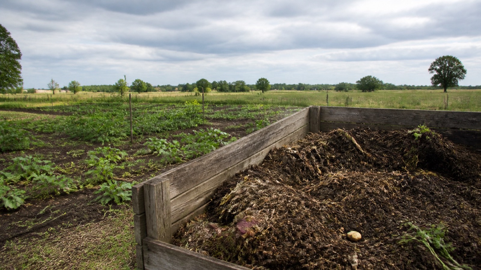 A large compost bay beside an open midwestern vegetable garden under wide sky, Midwest composting