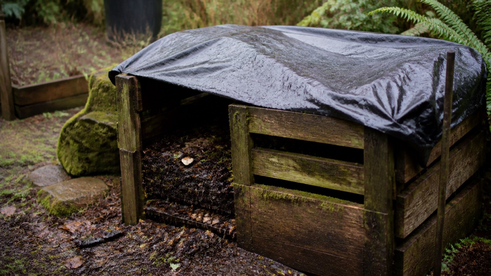 A tarp-covered compost bay in a rainy mossy northwest garden, Pacific Northwest composting