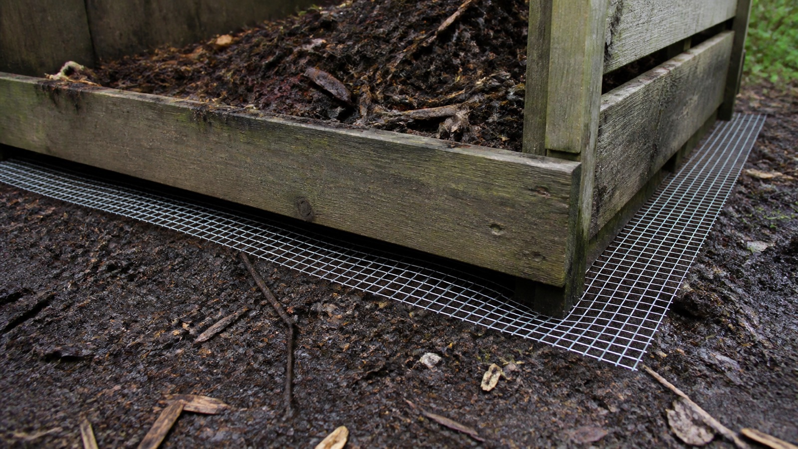 Galvanised wire mesh laid under a wooden compost bay as rodent proofing, rats in compost