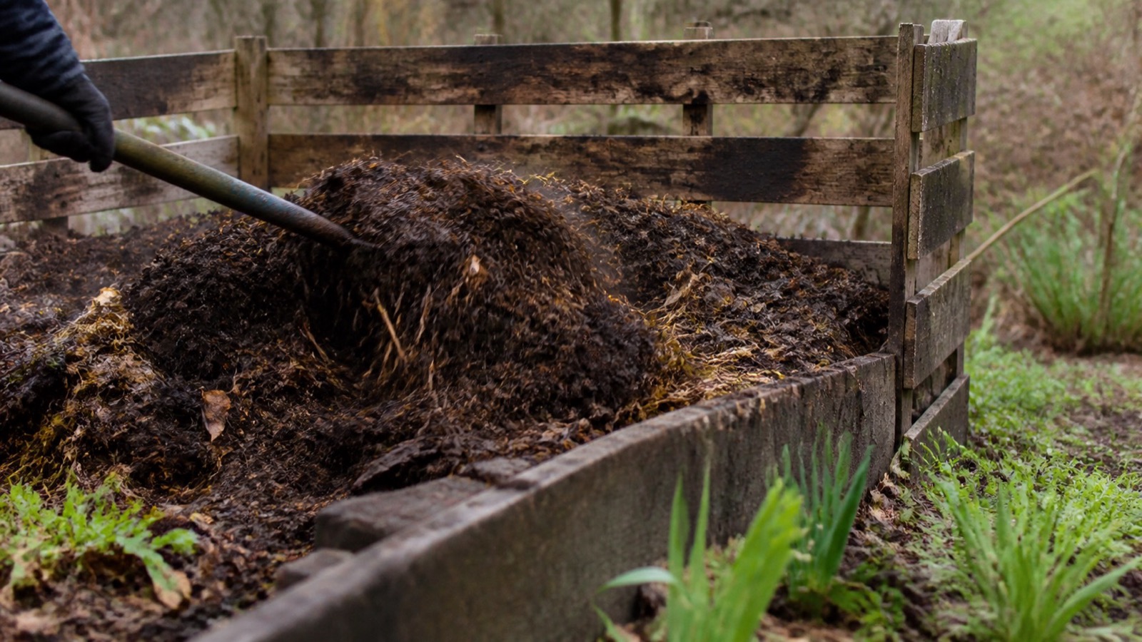 A compost bay being turned in early spring with green shoots nearby, spring compost preparation