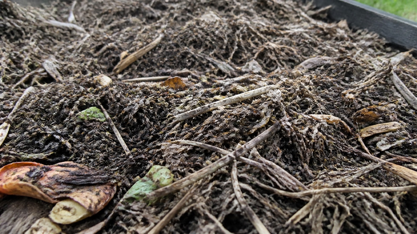 Coarse half-finished compost with recognisable material spread as mulch, unfinished compost